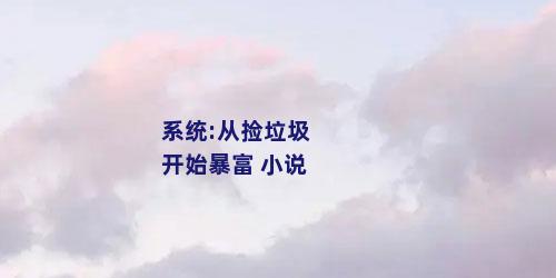 系统:从捡垃圾开始暴富 小说